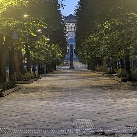 Apartment Avenue Kaunas