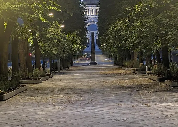 Appartement Avenue Kaunas